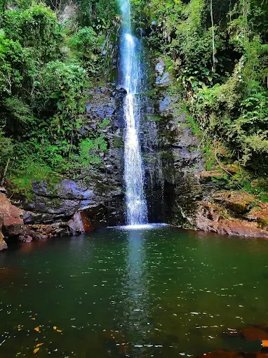 Foto da trilha 1