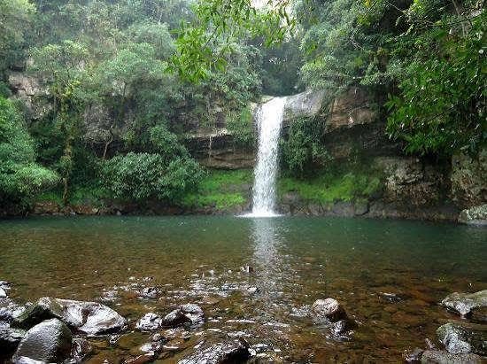 Trilha da Cascata da Forqueta